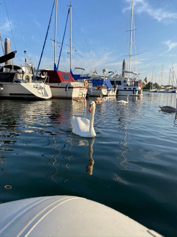 B&B Tholen Εξωτερικό φωτογραφία